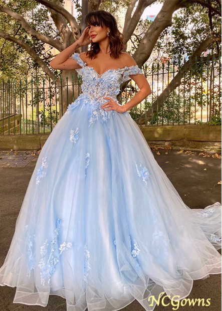 Ball Gown Tulle Applique Off-the-Shoulder Sleeveless Sweep/Brush Train Prom Dresses WE31689835850
