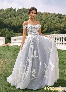 Off The Shoulder Tulle Long A-line Wedding Dresses Online YYQ1690268846