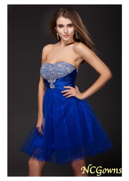 Other Natural Sleeveless Sleeve Royal Blue Dresses