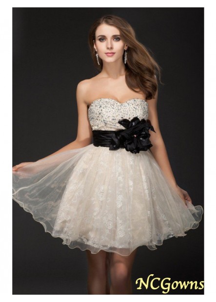 A-Line Princess Silhouette Sweetheart Organza Fabric Special Occasion Dresses