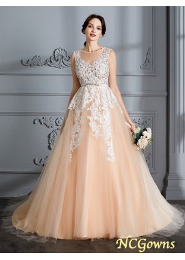 Natural Ball Gown Scoop Neckline Other 2023 Wedding Dresses