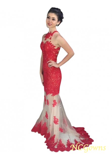 Applique Embellishment Net Sleeveless Sleeve Other Natural Red Dresses