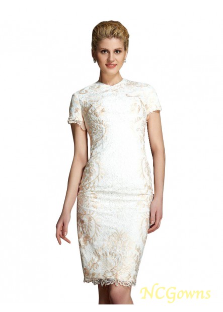 Lace Lace Fabric Short Sleeves Sheath Column Zipper White Dresses