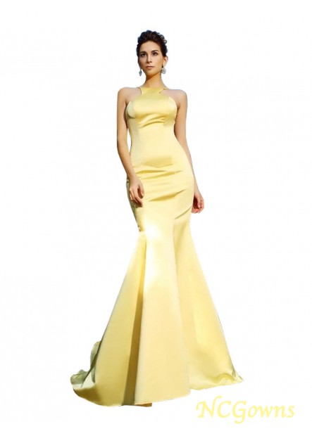 Ncgowns Court Train Backless Scoop Other Sleeveless Empire Evening Dresses