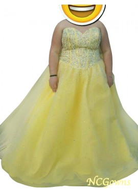 Beading Tulle Natural Waist A-Line Princess Plus Size Prom Dresses