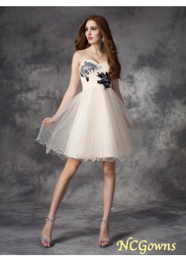 Applique Sweetheart A-Line Princess Zipper Back Style Short Prom Dresses