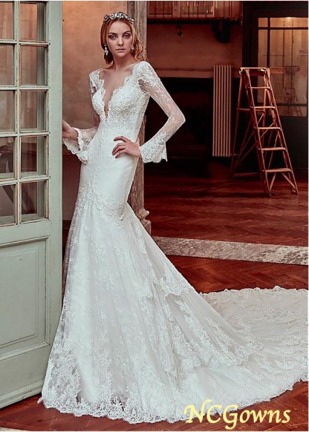 Tulle  Lace Long Full Length With Sleeves