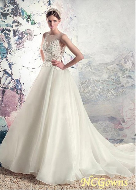 Natural Cathedral 50-70Cm Along The Floor Train Tulle  Satin Fabric Champagne Dresses
