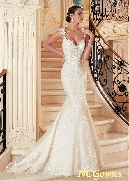 Short Tulle Fabric Sweep 15-30Cm Along The Floor Full Length V-Neck Neckline Wedding Dresses