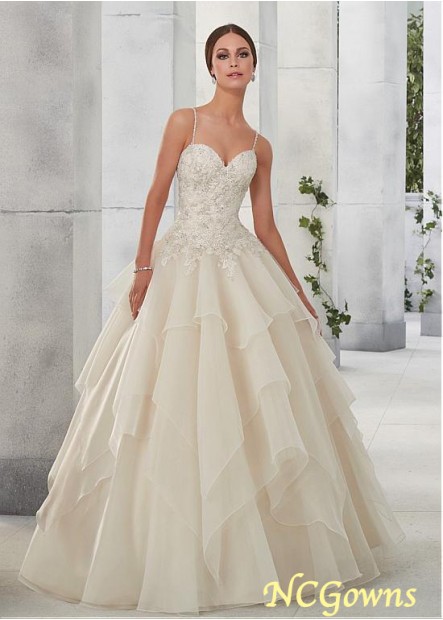 Tulle  Organza Natural Waistline Full Length Cathedral 50-70Cm Along The Floor Champagne Dresses T801525333741