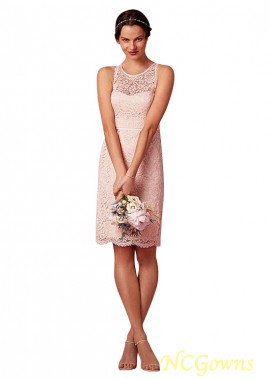 Jewel Knee-Length Length Natural Waistline Pink Dresses