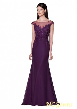 Ncgowns Purple Color Family Tulle  Chiffon Cap Sheath Column Silhouette Mother Of The Bride Dresses