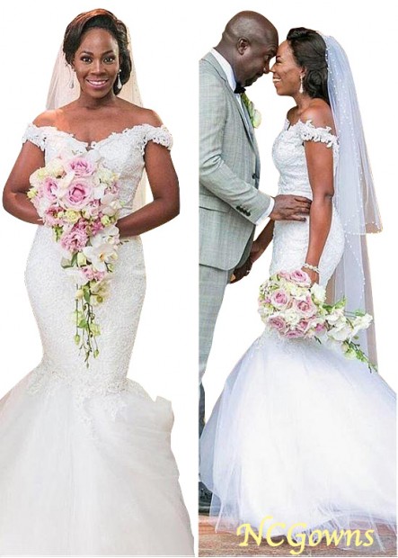 Natural Tulle  Lace Plus Size Wedding Dresses