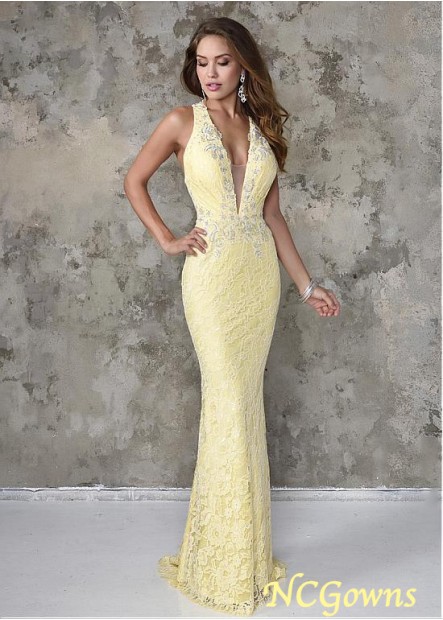 Lace Mermaid Trumpet Fishtail Special Occasion Dresses