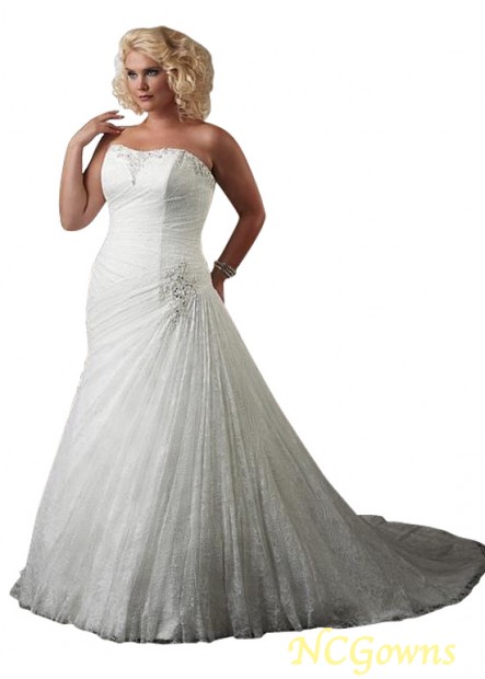 Full Length Natural Waistline Lace Plus Size Wedding Dresses