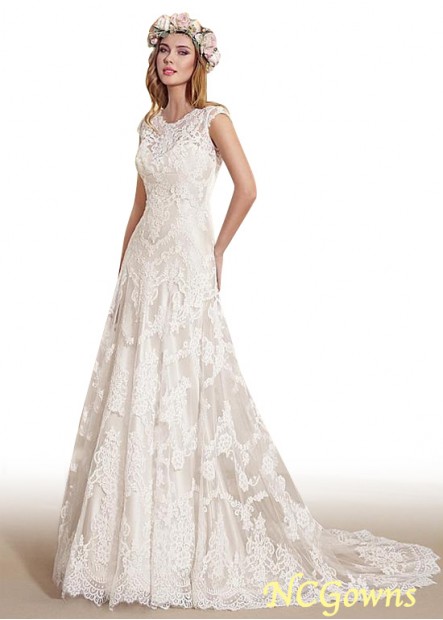 Short Sleeve Length Cathedral 50-70Cm Along The Floor Cap Natural A-Line Silhouette Wedding Dresses