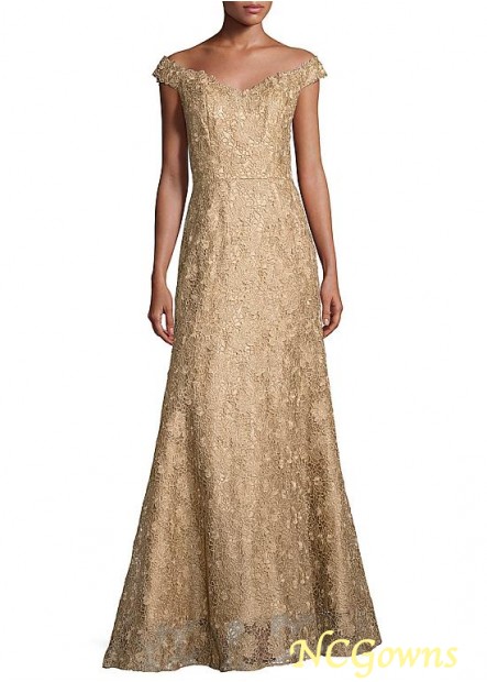 A-Line Silhouette Lace Full Length Length Mother Of The Bride Dresses