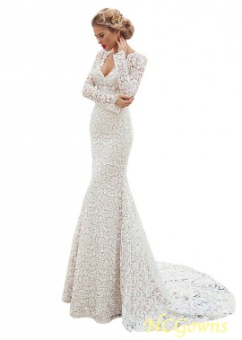 Lace Illusion Natural Mermaid Trumpet Silhouette V-Neck Full Length Length Style