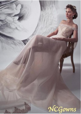 Off-The-Shoulder Natural Cathedral 50-70Cm Along The Floor Full Length Tulle Fabric A-Line Champagne Dresses