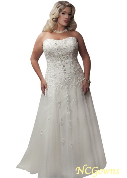 Dropped Waistline A-Line Silhouette Tulle Plus Size Wedding Dresses