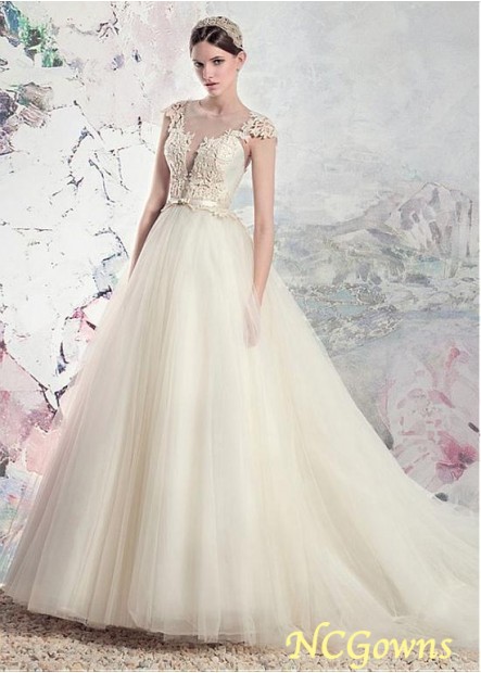 Ncgowns A-Line Short Tulle  Organza Jewel Neckline Cap Sleeve Type Champagne Dresses